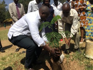 Kotetni Primary Tree Planting